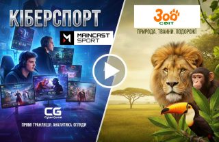 Від віртуальних битв до дикої природи! 🎮🐾